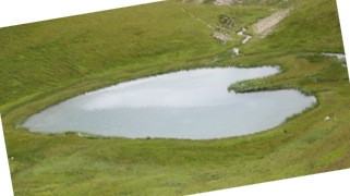 IMG_1440