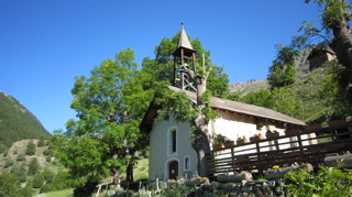 IMG_1061_1